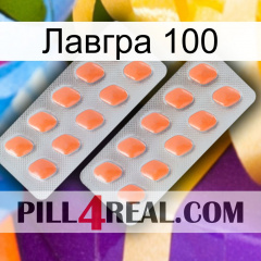 Лавгра 100 27